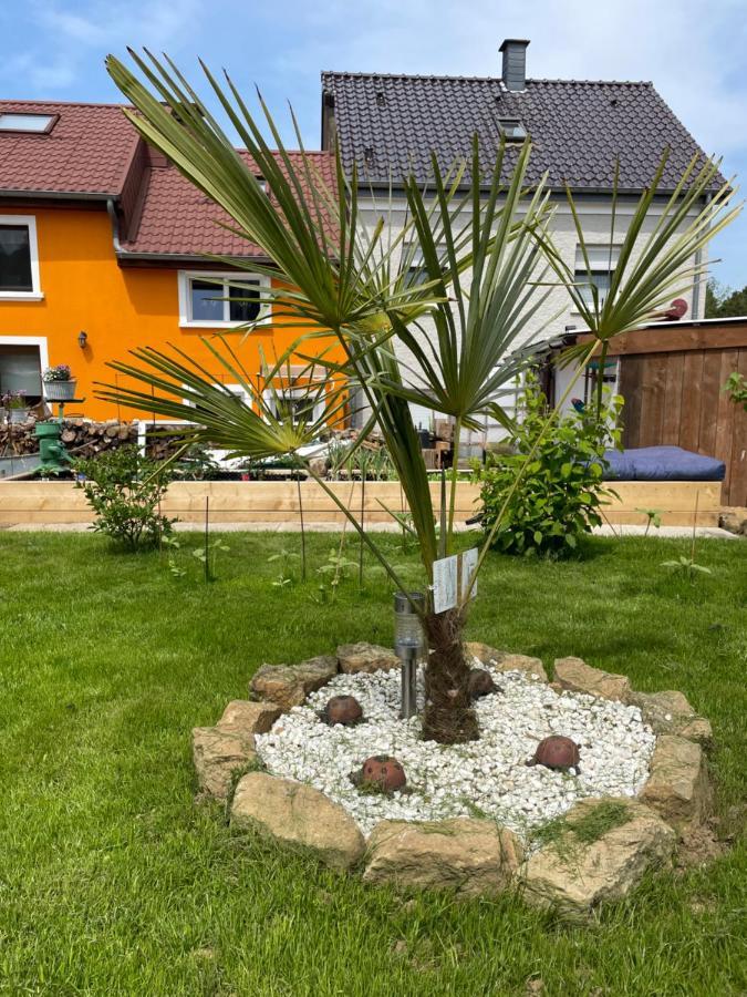 Le Potiron Apartment Scheidgen Bagian luar foto