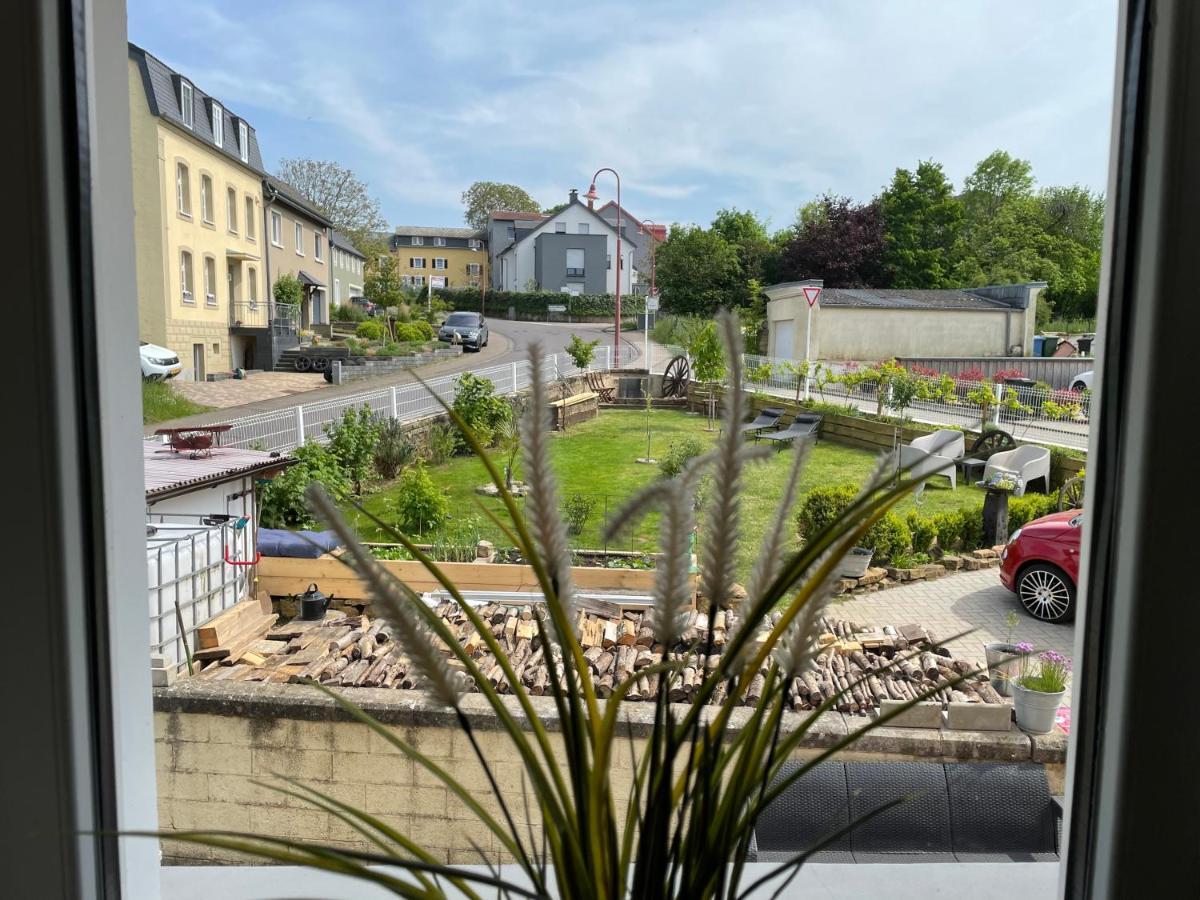 Le Potiron Apartment Scheidgen Bagian luar foto