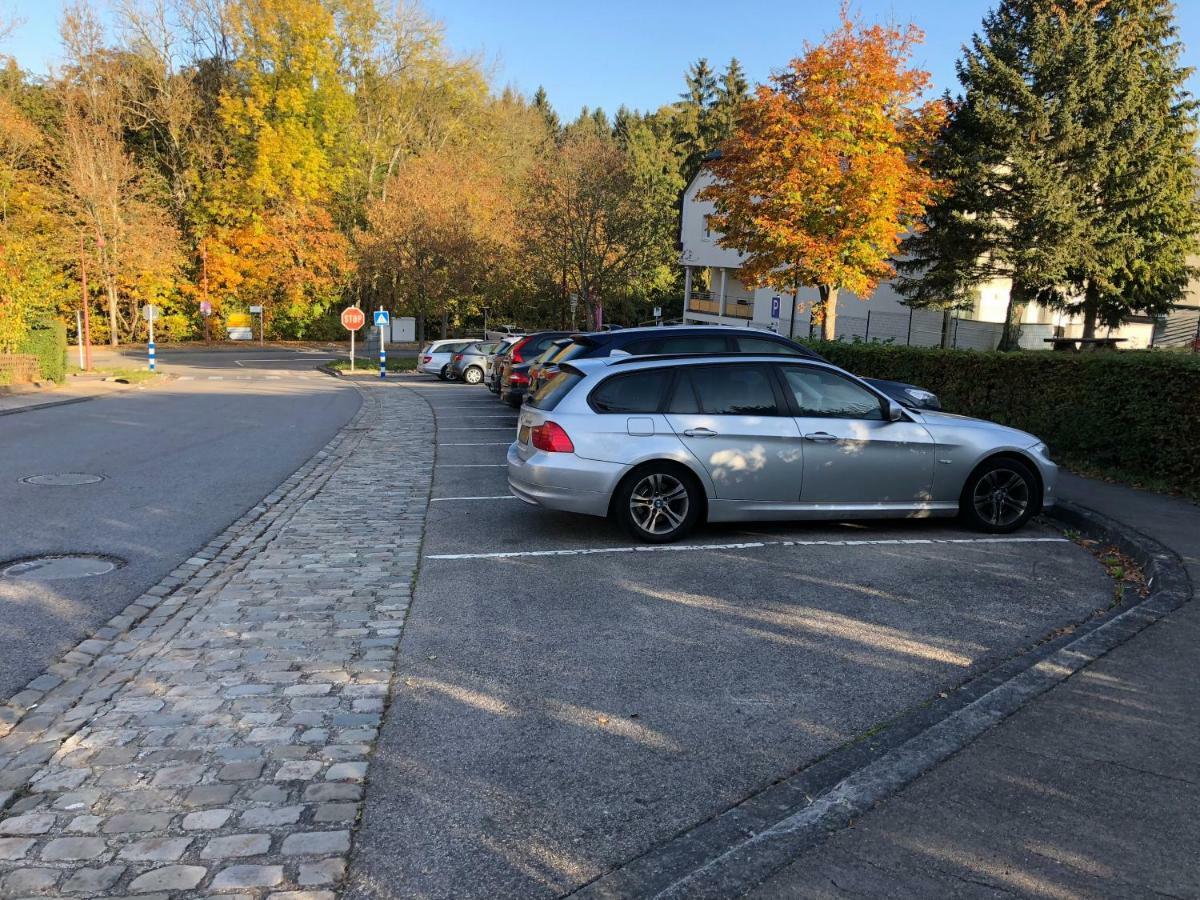 Le Potiron Apartment Scheidgen Bagian luar foto